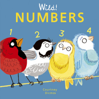 Βιβλίο Numbers Courtney Dicmas