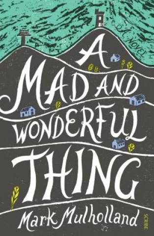 Libro A Mad and Wonderful Thing Mark Mulholland