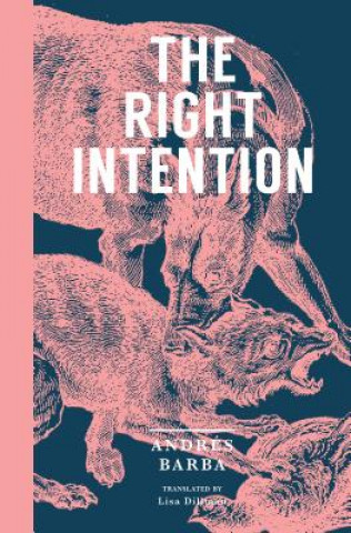 Kniha Right Intention Andres Barba