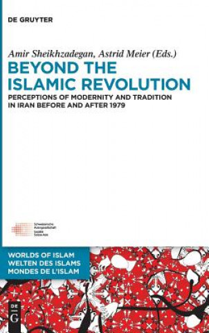 Könyv Beyond the Islamic Revolution Amir Sheikhzadegan