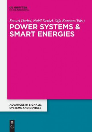 Kniha Power Systems and Smart Energies Faouzi Derbel