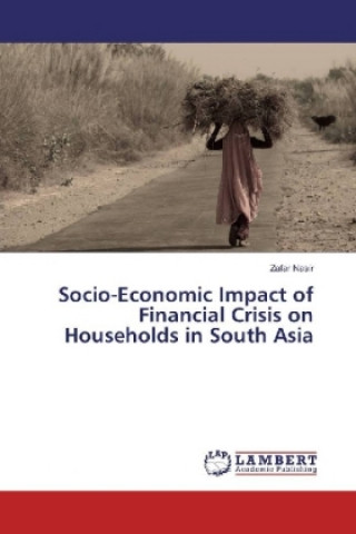 Carte Socio-Economic Impact of Financial Crisis on Households in South Asia Zafar Nasir