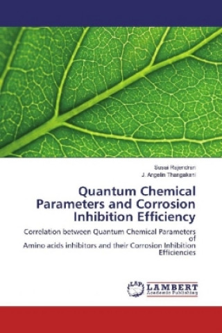 Kniha Quantum Chemical Parameters and Corrosion Inhibition Efficiency Susai Rajendran