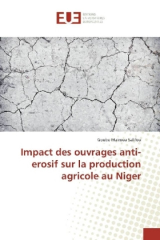 Kniha Impact des ouvrages anti-erosif sur la production agricole au Niger Goube Mairoua Salifou