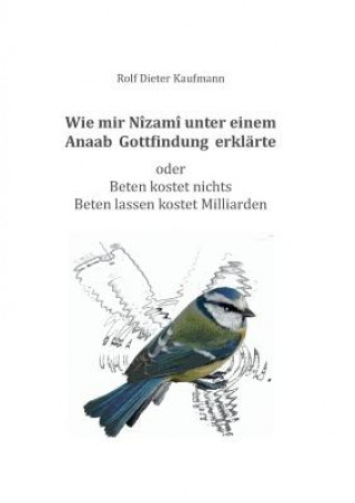 Livre Wie mir Nizami unter einem Anaab Gottfindung erklarte Rolf Dieter Kaufmann