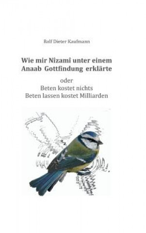 Livre Wie mir Nizami unter einem Anaab Gottfindung erklarte Rolf Dieter Kaufmann