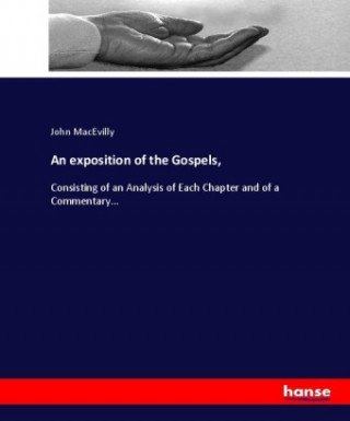 Книга exposition of the Gospels, John MacEvilly