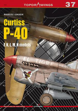 Kniha Curtiss P-40, F,K,L,M,N Models Lukasik Mariusz