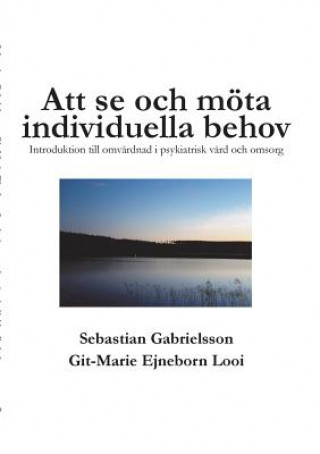 Könyv Att se och moeta individuella behov Sebastian Gabrielsson