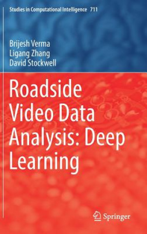 Kniha Roadside Video Data Analysis Brijesh Verma