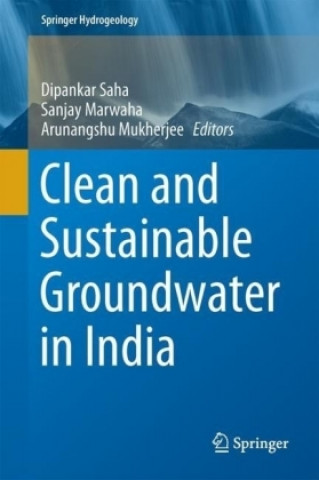 Könyv Clean and Sustainable Groundwater in India Dipankar Saha