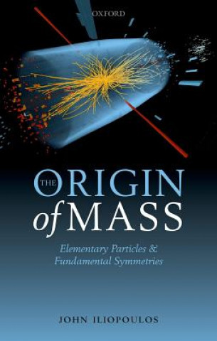 Kniha Origin of Mass John Iliopoulos