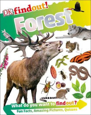 Könyv DKfindout! Forest DK