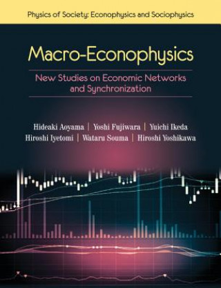 Boek Macro-Econophysics FUJIWARA  YOSHI
