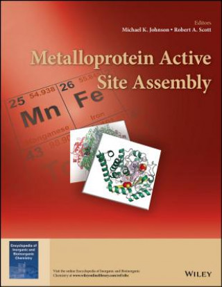 Könyv Metalloprotein Active Site Assembly Michael K. Johnson