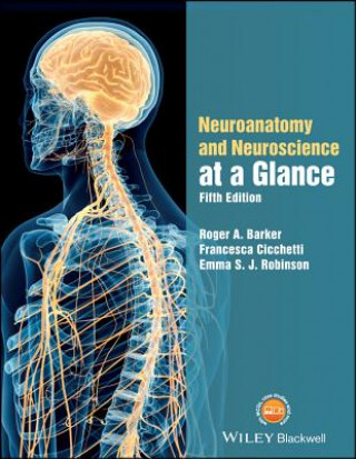 Kniha Neuroanatomy and Neuroscience at a Glance Roger A. Barker