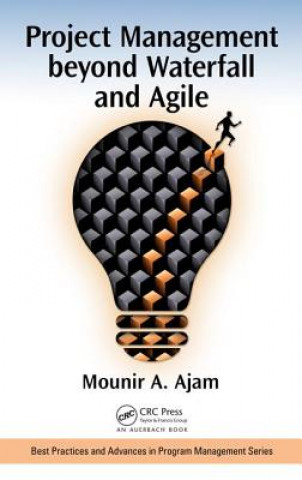 Kniha Project Management beyond Waterfall and Agile Mounir Ajam