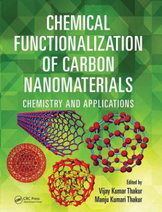 Kniha Chemical Functionalization of Carbon Nanomaterials Manju Kumari Thakur