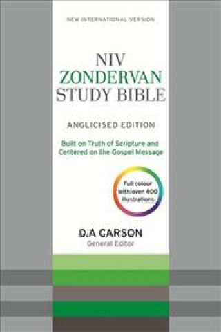 Książka NIV Zondervan Study Bible (Anglicised) New International Version