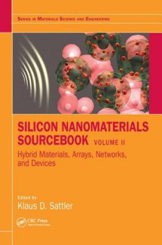 Kniha Silicon Nanomaterials Sourcebook Klaus D. Sattler