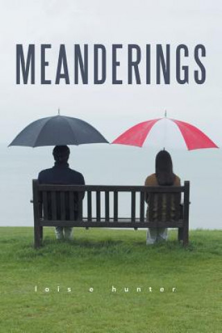 Buch Meanderings LOIS E HUNTER