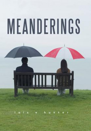 Buch Meanderings LOIS E HUNTER