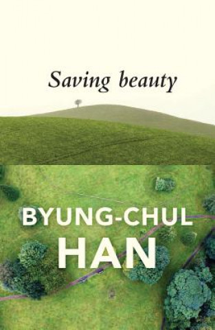 Книга Saving Beauty Han