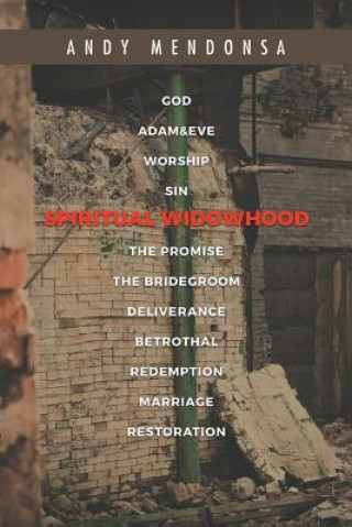 Книга Spiritual Widowhood ANDY MENDONSA