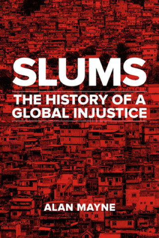 Kniha Slums Alan Mayne