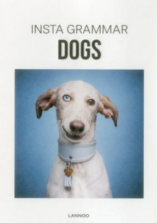 Kniha Insta Grammar Dogs Irene Schampaert