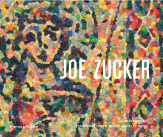 Kniha Joe Zucker John Elderfield