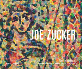 Książka Joe Zucker John Elderfield