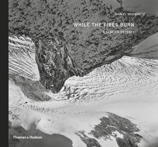 Libro While the Fires Burn Daniel Schwartz