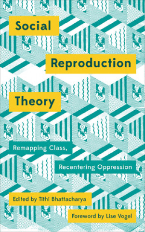 Kniha Social Reproduction Theory Tithi Bhattacharya