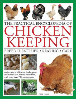 Könyv Practical Encyclopedia of Chicken Keeping Fred Hams