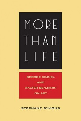 Kniha More Than Life Stephane Symons