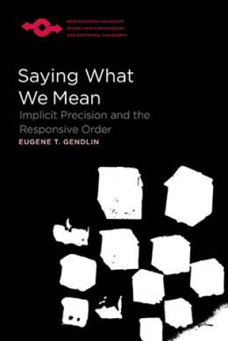 Libro Saying What We Mean Eugene Gendlin