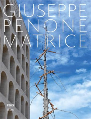 Buch Giuseppe Penone Giuseppe Penone