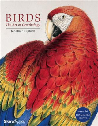 Kniha Birds: The Art of Ornithology Jonathan Elphick