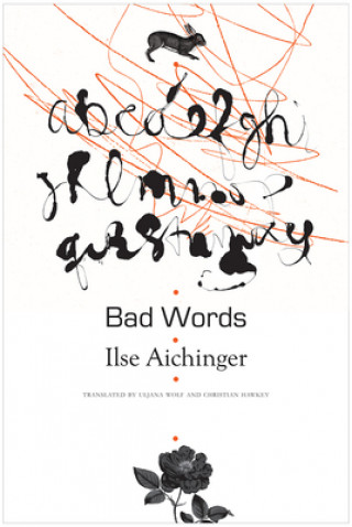 Knjiga Bad Words Ilse Aichinger