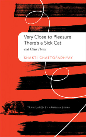 Kniha Very Close to Pleasure, There's a Sick Cat Shakti Chattopadhyay