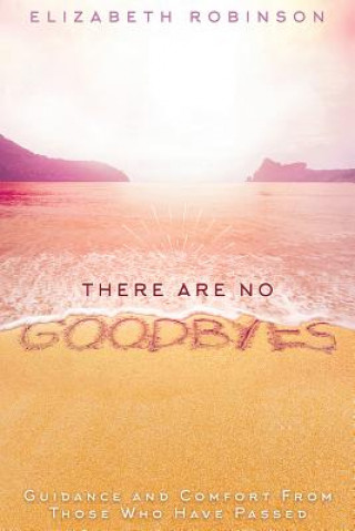 Book There Are No Goodbyes: Guidance and Comfort From Those Who Have Passed Elizabeth Robinson