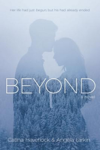 Kniha Beyond Angela Larkin
