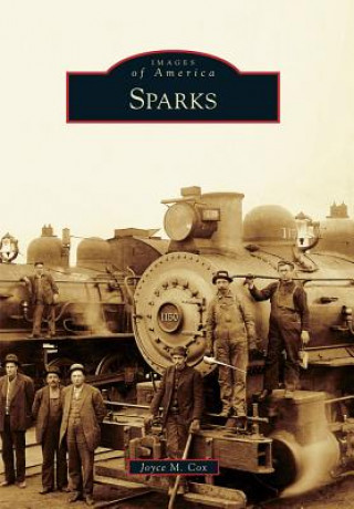 Buch Sparks Joyce M. Cox