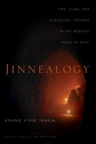 Könyv Jinnealogy Taneja
