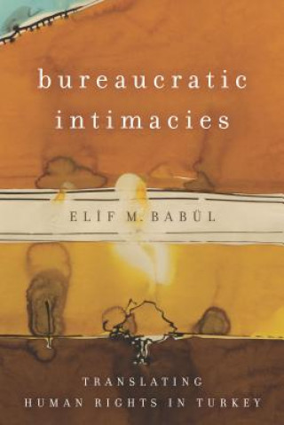 Kniha Bureaucratic Intimacies Elif M. Babul