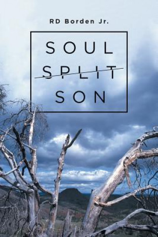 Buch Soul-Split Son Rd Borden Jr