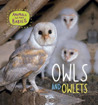Knjiga OWLS & OWLETS Annabelle Lynch