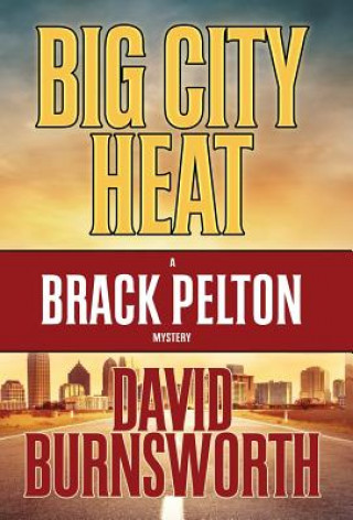 Kniha Big City Heat David Burnsworth