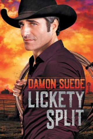 Könyv Lickety Split Damon Suede